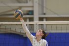 Wheaton Women's Volleyball  Wheaton Women's Volleyball vs Bridgewater State University. : Wheaton, Volleyball, BSU, Bridgewater State College